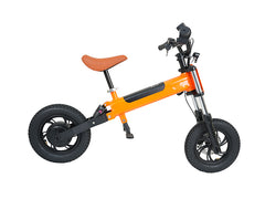 BeWell 2 in 1 Elektrofahrrad für Kinder