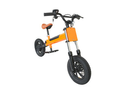 BeWell 2 in 1 Elektrofahrrad für Kinder