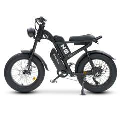 Z8 Electric Bike