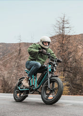 ENGWE M20 Dual Suspension Long Range E-Bike