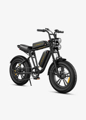 ENGWE M20 Dual Suspension Long Range E-Bike