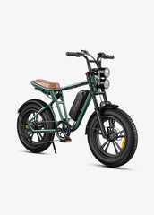 ENGWE M20 Dual Suspension Long Range E-Bike