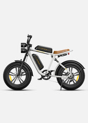 ENGWE M20 Dual Suspension Long Range E-Bike