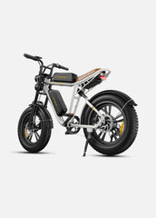 ENGWE M20 Dual Suspension Long Range E-Bike