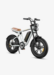 ENGWE M20 Dual Suspension Long Range E-Bike