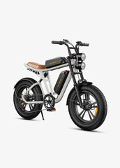 ENGWE M20 Dual Suspension Long Range E-Bike